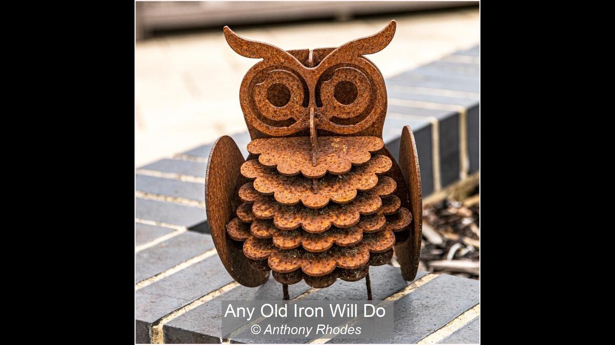 04_Any Old Iron Will Do_Anthony Rhodes